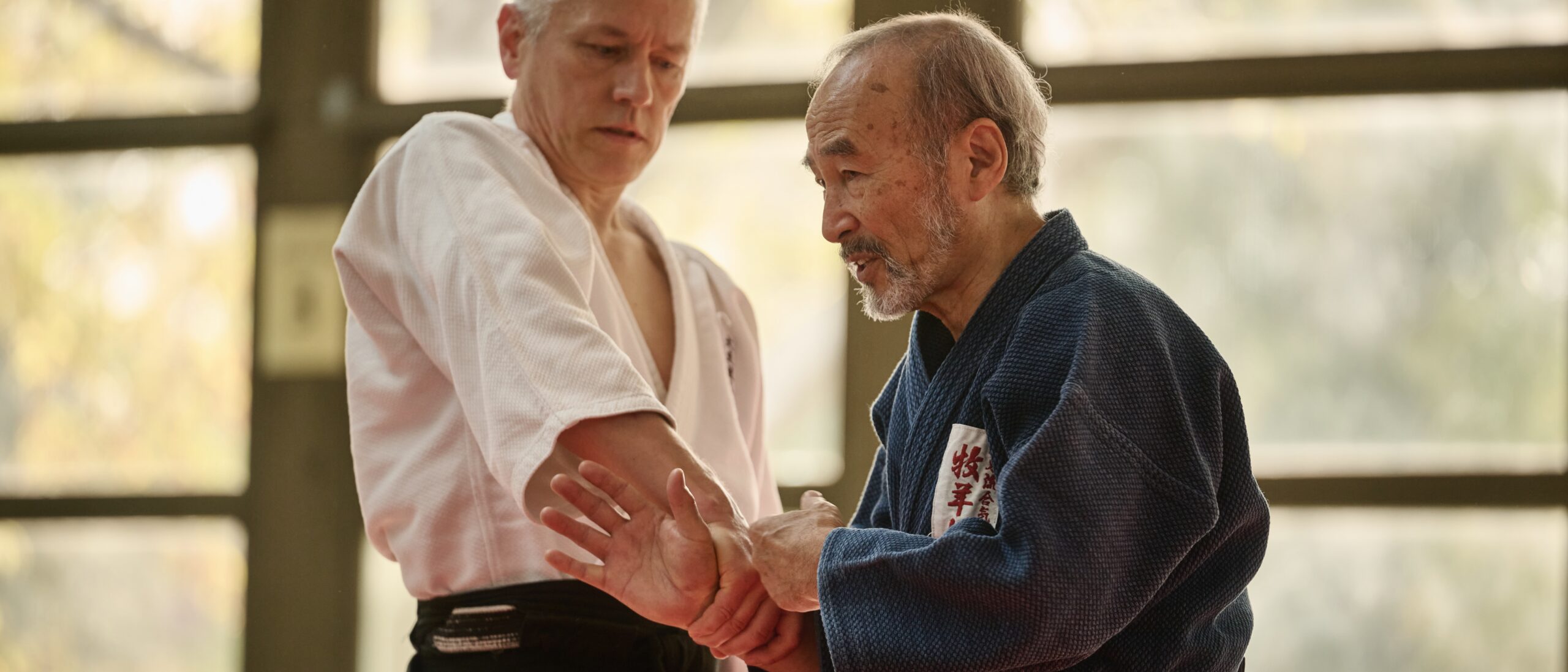 Willkommen im Shinki Dojo Dresden 1 Aikido-Trainings-Situation